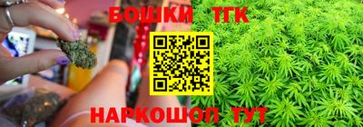 МДПВ Дубна