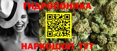 скорость Донской