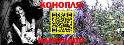 МДПВ Дубна