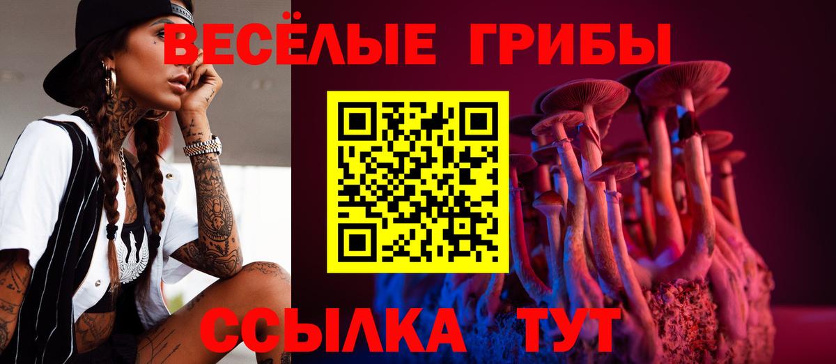 Псилоцибиновые грибы Cubensis Миасс